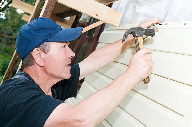 Best Steel Siding Installation  in Terre Haute, IN