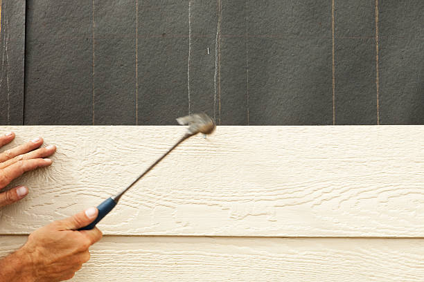 Best Wood Siding Installation  in Terre Haute, IN